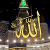 shahzad.khan9935