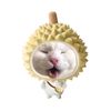 the.tortoise.cat