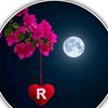 .rifat3691