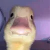 dkdjdaka