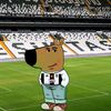 discipline_germany