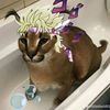 speedwagon221