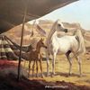 abdrahmanalqahtan1