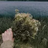 zainabwli746