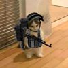 tarkov_7