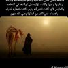 bayaan.jamaal23