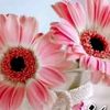 guli04828