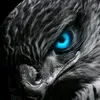 mohamedyasien55