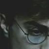 harry_defender