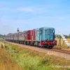 treinspotterdieren