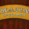 amazingspecimenband