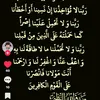 khaled.elhebshey