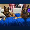 jennym6857