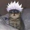 whosje8