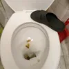 tolyamrqort