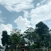 rraaa_274