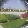 yusuf.saifi83