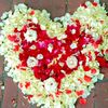 nasrin.akther863