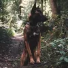 carathemalinois