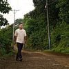 nyi.nyi.zaw0736