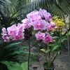 nguyenlan3292