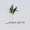 user274006135278
