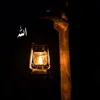 🍂🍁🦋انت  الحیات بن 🦋🍁