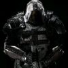 d3sir_