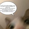 ji_w1119