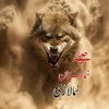 bilal.baloch029