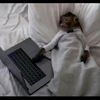comfy_is_comfortable