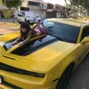 marcos.carvalho519