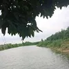 khoa_1_8_2006