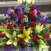 user6708311298011