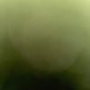 simranjit.singh77