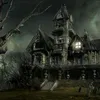 No Scary