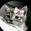 itz_me_nusrat1