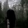 llp__l11