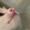 uocdat_hocbong