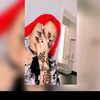 princesszahra109