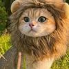 khaixzz_