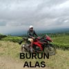 burun.alas3