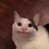 ticklemetictok