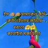 mdesahan5