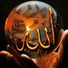 asenat7960