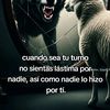 mejia.caal