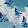 butterfly.d8