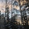 tervemoik