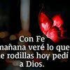vane.pelic0