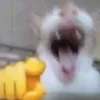 vivi_uhu1